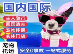 巴中恩阳机场托运国际宠物托运 【国
